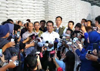 Bulog Cetak Rekor Sepanjang Sejarah, Stok Beras Tembus 5 Juta Ton