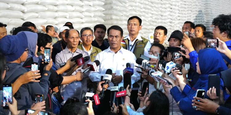 Bulog Cetak Rekor Sepanjang Sejarah, Stok Beras Tembus 5 Juta Ton