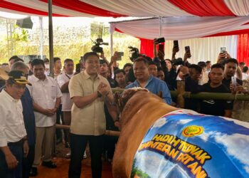 Wamentan Sudaryono Ingatkan Pentingnya Menjaga Sapi Betina Produktif