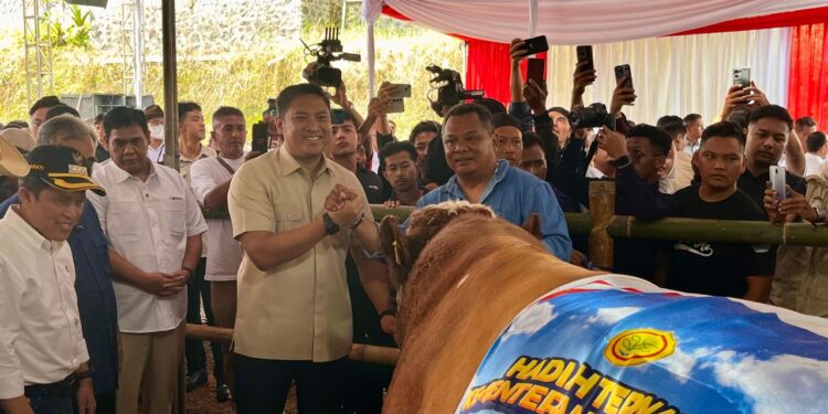 Wamentan Sudaryono Ingatkan Pentingnya Menjaga Sapi Betina Produktif