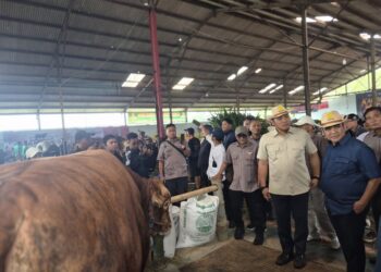 Wamentan dan Ketua MPR RI Dorong Investasi Peternakan, Wonosobo Disiapkan Jadi Sentra Susu Nasional
