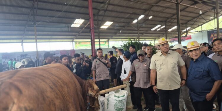 Wamentan dan Ketua MPR RI Dorong Investasi Peternakan, Wonosobo Disiapkan Jadi Sentra Susu Nasional