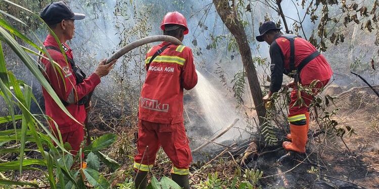 Menko Polkam Dorong Pencegahan Dini dan Sinergi Hadapi Karhutla