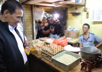 Kementan Perkuat Serapan Telur Peternak Rakyat Saat Produksi Melimpah di Magetan