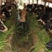 Pastikan Stok Aman, Kementan-Kemenkes Perkuat Pengawasan Hewan Kurban