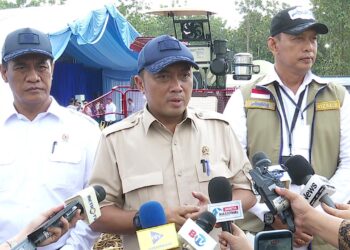 Bulog Serap Hasil Panen Raya Jagung Kuartal II, Perkuat Sinergi dengan Polri untuk Swasembada Pangan Berkelanjutan