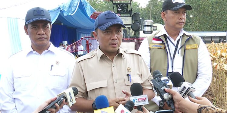Bulog Serap Hasil Panen Raya Jagung Kuartal II, Perkuat Sinergi dengan Polri untuk Swasembada Pangan Berkelanjutan
