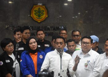 Mentan Amran Kawal Harga Telur Peternak, Model Sidrap Dinilai Layak Diterapkan Nasional