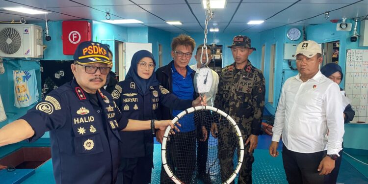 KKP Lepasliarkan 1.300 Ekor Ikan Napoleon Barang Bukti Penyelundupan ke Hong Kong