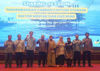 KKP Dorong Pengembangan Carbon Capture Storage di Sektor Energi