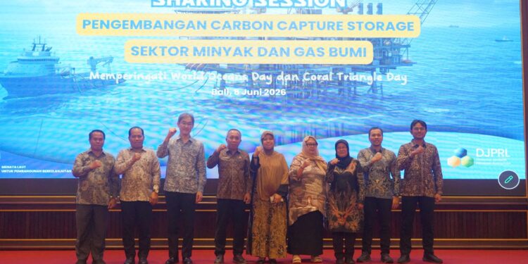 KKP Dorong Pengembangan Carbon Capture Storage di Sektor Energi