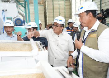 Dukung Ketahanan Pangan, Bulog Perkuat Program Swasembada dan Tata Kelola yang Akuntabel