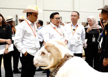 Pertama di Indonesia, Seni Ketangkasan Domba Garut Tampil di Panggung Internasional Indo Livestock 2026