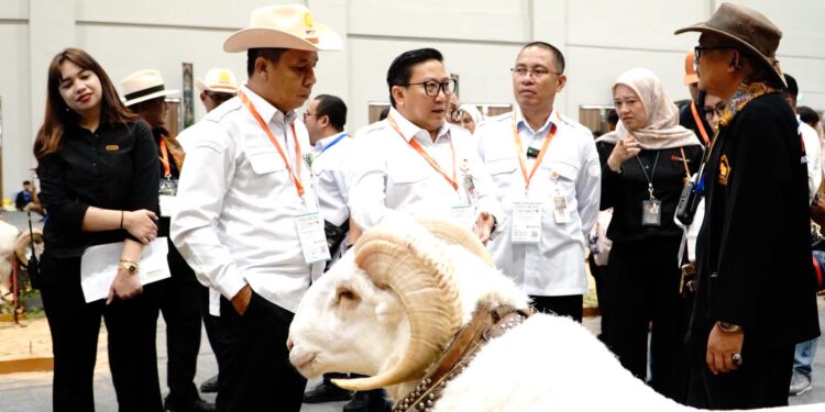 Pertama di Indonesia, Seni Ketangkasan Domba Garut Tampil di Panggung Internasional Indo Livestock 2026