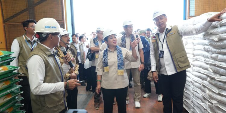 Resmikan Gudang Baru di Kalsel, Bulog Perkuat Kapasitas Penyimpanan Pangan