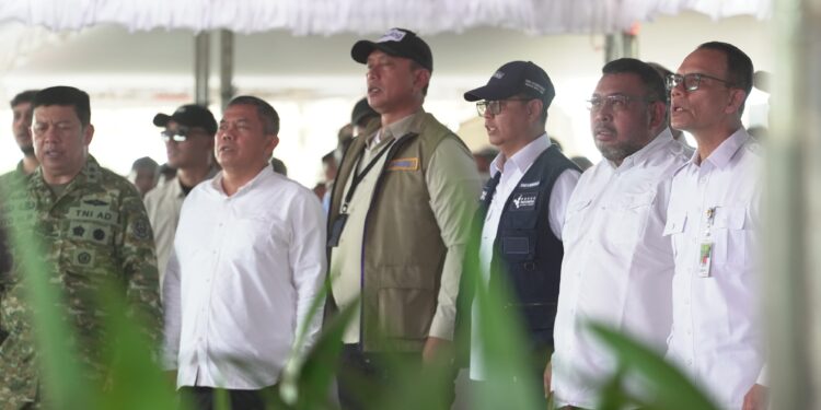 Bulog Dukung Gerakan Tanam Padi Serentak di Kawasan Cetak Sawah Merauke