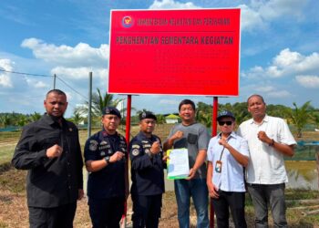 KKP Segel Budi Daya Arwana Tak Berizin di Pekanbaru