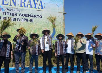 DPR Dukung Kesejahteraan Petani Dalam Mewujudkan Swasembada Pangan Nasional