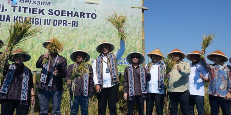 DPR Dukung Kesejahteraan Petani Dalam Mewujudkan Swasembada Pangan Nasional