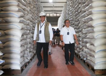 Bulog Berhasil Serap 3,5 Juta Ton Setara Beras Petani