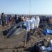 KKP Bersama Tim Gabungan Tangani Paus Bungkuk Terdampar di Pantai Perancak Bali