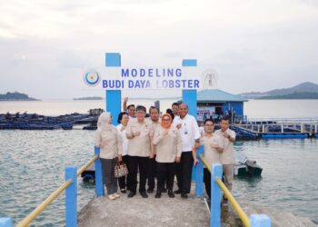 Komisi IV DPR Apresiasi Produktivitas Modeling Budi Daya Lobster KKP di Kepri