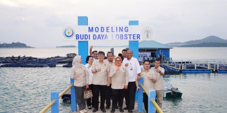 Komisi IV DPR Apresiasi Produktivitas Modeling Budi Daya Lobster KKP di Kepri