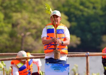 Menteri KP: Rehabilitasi Mangrove Topang Produktivitas Perikanan & Ketahanan Pangan