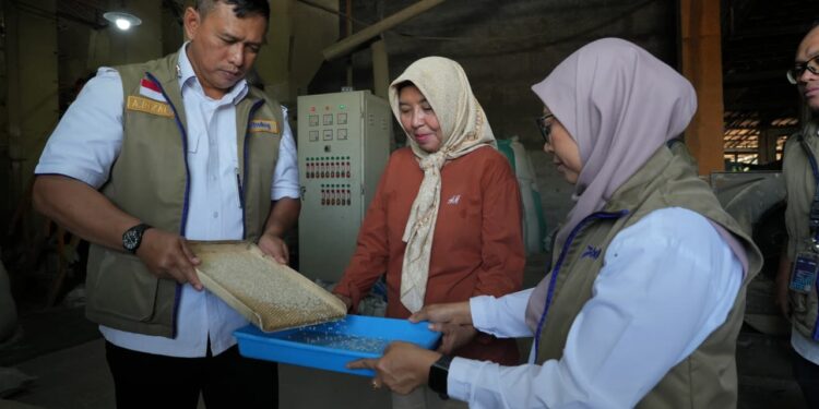 Bulog Monitoring Mitra Penggilingan, Pastikan Kualitas Beras Nasional
