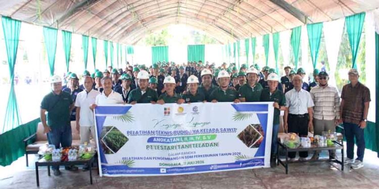BPDP, Ditjenbun dan PT CWE Selenggarakan Pelatihan Budidaya Kelapa Sawit bagi 155 Petani Morowali Utara, Sulteng