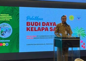 Dorong Produktivitas Sawit, BPDP, Bersam Ditjenbun, PT SIB Gelar Pelatihan Pekebun Bengkalis Riau