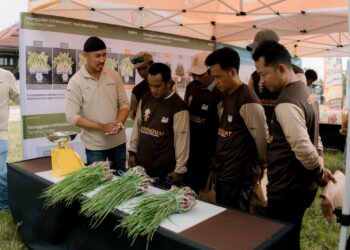 Dukung Pertumbuhan dan Hasil Panen, Syngenta Indonesia Luncurkan CUPRINOMAT