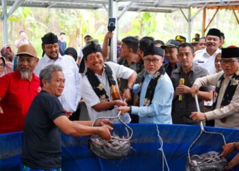 KKP Perkuat Budidaya Ikan Tematik untuk Ketahanan Pangan