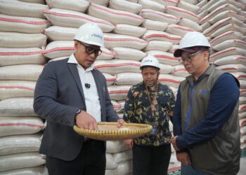 Bulog Ajak Pengusaha Penggilingan Padi Jaga Kualitas Beras Demi Ketahanan Pangan Nasional