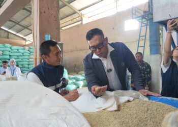 Bulog Dapat Dukungan Finansial Penuh Dari Pemerintah Menuju Swasembada Pangan Berkelanjutan