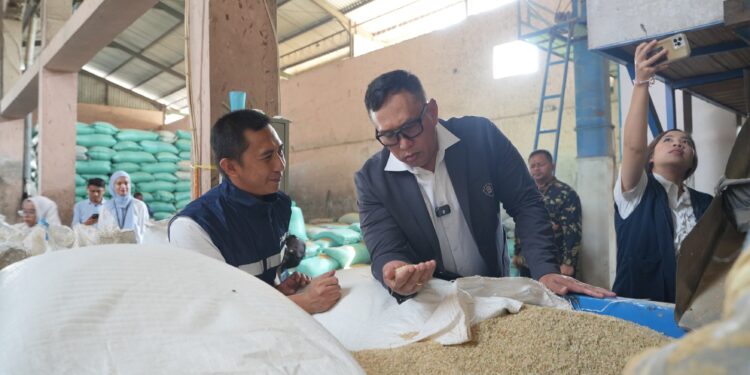 Bulog Dapat Dukungan Finansial Penuh Dari Pemerintah Menuju Swasembada Pangan Berkelanjutan