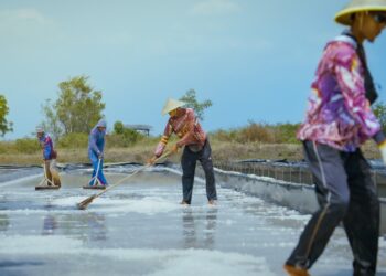 KKP Tingkatkan Kemampuan Teknis Petugas Data Pergaraman Menuju Swasembada 2027