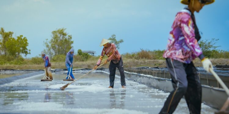KKP Tingkatkan Kemampuan Teknis Petugas Data Pergaraman Menuju Swasembada 2027