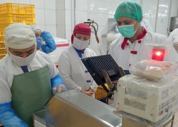 Jaga Daya Saing Industri Tuna, KKP Perkuat Kompetensi Pekerja Perikanan