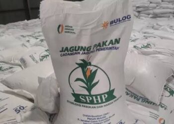 Tindak Lanjuti Arahan Mentan, PT. Berdikari Siapkan 30.000 Ton SBM untuk Peternak Rakyat