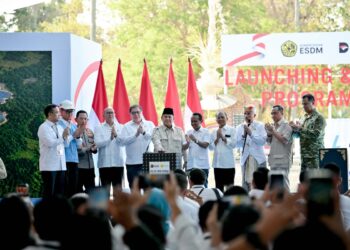 Resmikan PLTS di 14 Provinsi, Prabowo Target 100 GWp dalam 3 Tahun