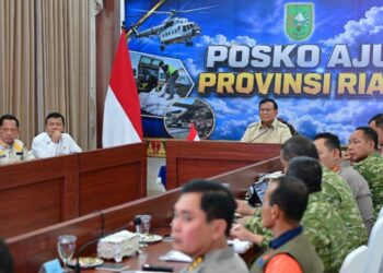 Prabowo Siapkan 1.000 Perwira TNI-Polri Perkuat Penanganan Karhutla di Sumatra Selatan