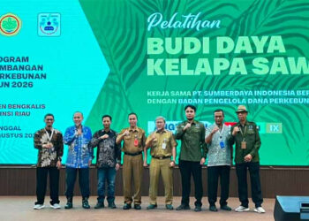 Pelatihan Sawit Bengkalis Tak Sekadar Teori, BPDP, Ditjenbun, PT SIB Perkuat Praktik Budidaya Pekebun