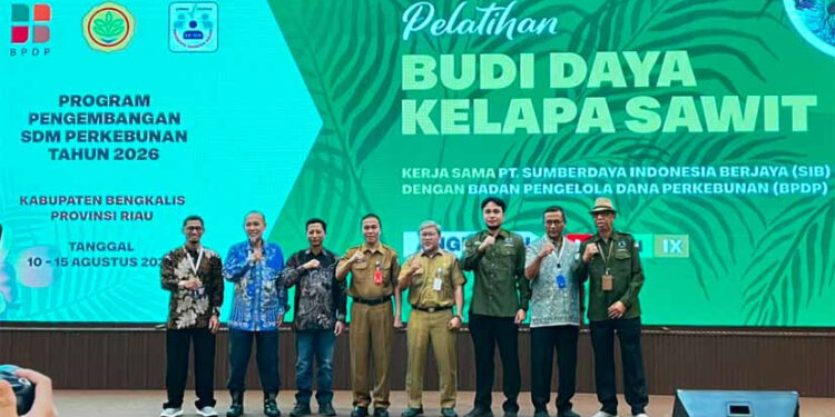 Pelatihan Sawit Bengkalis Tak Sekadar Teori, BPDP, Ditjenbun, PT SIB Perkuat Praktik Budidaya Pekebun