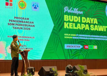 Produktivitas Sawit Rakyat Rendah, Riau Dorong Pekebun Naikkan Standar Budidaya
