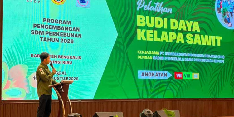 Produktivitas Sawit Rakyat Rendah, Riau Dorong Pekebun Naikkan Standar Budidaya