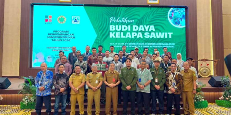 Tingkatkan Produktivitas Sawit Rakyat Bengkalis, SDM Pekebun Jadi Investasi Penting