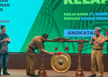 Produktivitas Sawit Rakyat Bengkalis Rendah, BPDP Bersama Ditjenbun dan PT SIB Gelar Pelatihan Budidaya