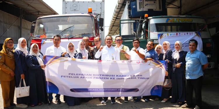 Kirim Perdana 40 Ton Karkas Ayam Layer Afkir ke Makassar, Perkuat Posisi Tawar Peternak