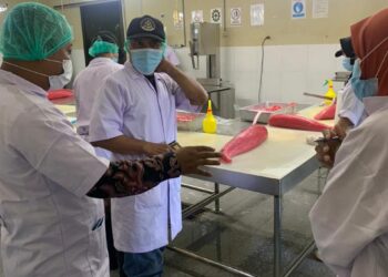 Mutu Terjamin, Ikan Tuna dari Sulawesi Tengah Tangguh di Pasar Ekspor